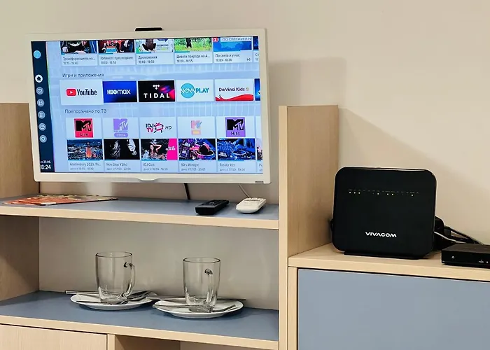 Apartment Comfy 100letov